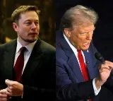Elon Musk Reaction After Trump Assassination Bid