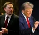 Elon Musk Reaction After Trump Assassination Bid