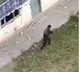 Terrorist Runs For Cover In Jammu and Kashmir Shot Dead By Security Forces