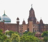 SC declines to stay Allahabad HC order upholding maintainability of
 civil suits in Krishna Janmabhoomi dispute