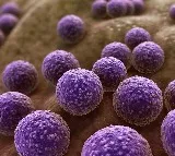 4 Crore people would die to superbugs that have no cure