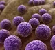 4 Crore people would die to superbugs that have no cure