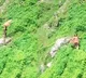 Woman Fall Into Valley While Filming Reel