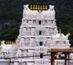 Lab report confirms presence of animal fat in Tirumala laddu, claims TDP
