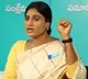 Sharmila seeks CBI probe into presence of animal fat in Tirumala laddu