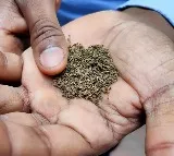 Education & Health Ministry ask states to effectively implement tobacco guidelines
