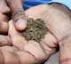 Education & Health Ministry ask states to effectively implement tobacco guidelines