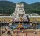 Amul Responds About Tirumala Laddu Row
