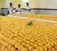 TTD Ready To Establish Lab For Checking Ghee