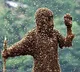 Two killed in wasp attack in Srikakulam