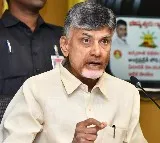 AP CM Chandrababu High Level Review On TTD Laddu Controversy