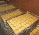 TDP leader Buchi Ram Prasad fires on Jagan over Tirumala Laddu issue