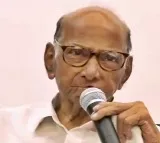 Sharad Pawar frowns at ruling leaders' photos on 'Ladki Bahin' scheme posters