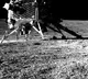 Pragyan Rover Discovers 160 Km Wide Crater On Moons Surface