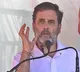 Rahul Gandhi to campaign in Haryana after Congress manages truce in state unit