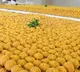 Prayagraj have banned devotees from bringing sweets and other processed items for offerings