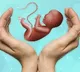 IVF Babies Are At a Higher Risk Of Developing Serious Heart Defects Study Finds