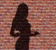 US woman pleads guilty to running high-end prostitution ring