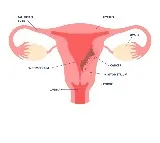 Why gynaecological cancers are rising among young Indian women