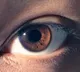 IIT Madras study shows mild laser heating can boost drug delivery for eye treatments