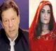 Imran Khan and wife Bushra Bibi serving jail term in VIP style, claims provincial minister