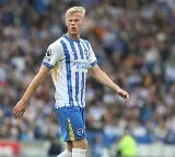 Premier League: Brighton defender Van Hecke out for six weeks with ‘significant tear’
