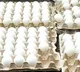 Fear about eggs spiking cholesterol levels ‘unwarranted’: Experts