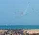 Four killed in stampede at Chennai Marina Beach