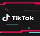 Probe into TikTok over potential violation of personal data law
