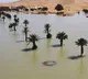 Lake Iriqui in Sahara desert had been dry for 50 years was filled by the rainfall in images from NASA satellites