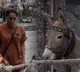 PETA India writes Salman Khan and Bigg Boss 18 makers to remove donkey from show