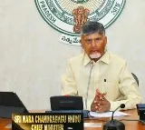 AP Cabinet Pay Tributes to Ratan Tata