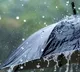 Weather department experts have predicted heavy rain for Andhra Pradesh