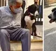 Is Ratan Tata Pet Dog Goa Dead