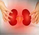 Study explains how PFAS exposure worsens kidney function