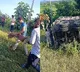 Truck carrying wild animals overturn sin Telangana, escaped crocs recaptured