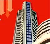 Sensex sheds 494 points, Nifty settles below 24,800