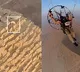 Dog Climbs Giza Pyramid What Happened Next