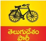 TDP announces two graduate MLC candidates