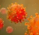 How Covid virus defeats body’s immune response