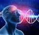 Australian study discovers genetic link between brain volume & disorders