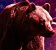 Sensex and Nifty crash by 1 pc, IndusInd Bank top loser