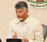 CM Chandrababu held tele conference with four distreicts TDP leaders