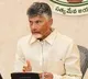 CM Chandrababu held tele conference with four distreicts TDP leaders