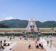 TTD cancelled VIP Break Darshans on Oct 31