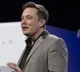 Musk emerges as Trump's campaign lightning rod