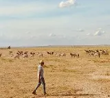 SS Rajamouli Lastest Photo Goes Viral on Social Media