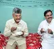 Chandrababu Naidu launches free gas scheme; prepares tea in beneficiary's house