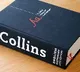 Brat the word named the Collins Word of the Year 2024