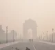 Can air pollution lead to obesity?